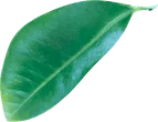 img-slider3